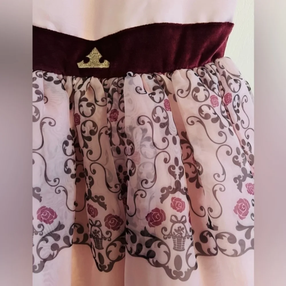 Aurora Sleeping Beauty Inspired Dress ADAPTIVE - Special Needs Siz 6